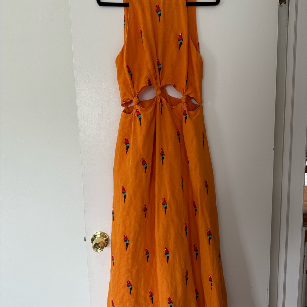 Farm Rio Parrot Embroidered Dress